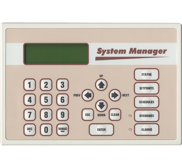 System Manager